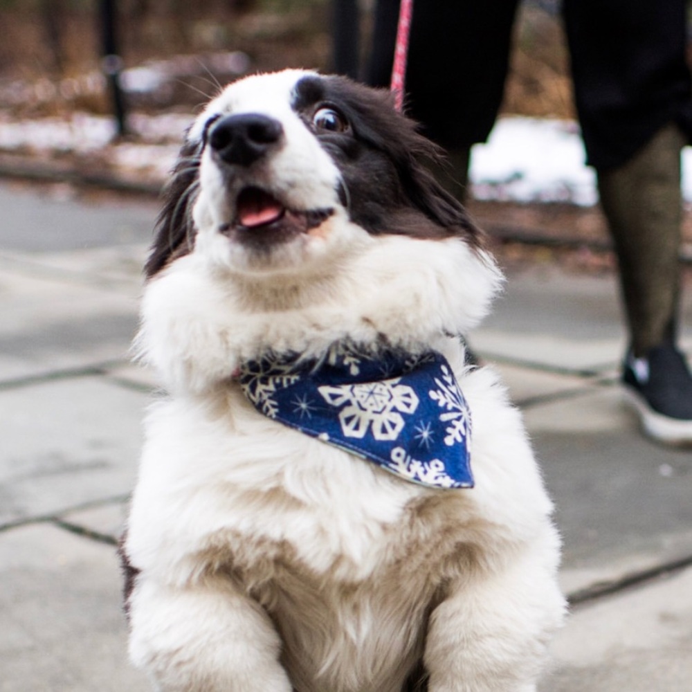 Meet your Posher, Michelle